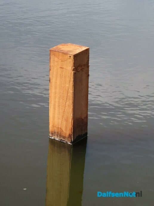 Waarvoor staan toch die palen in de Marswetering - Foto: Wim