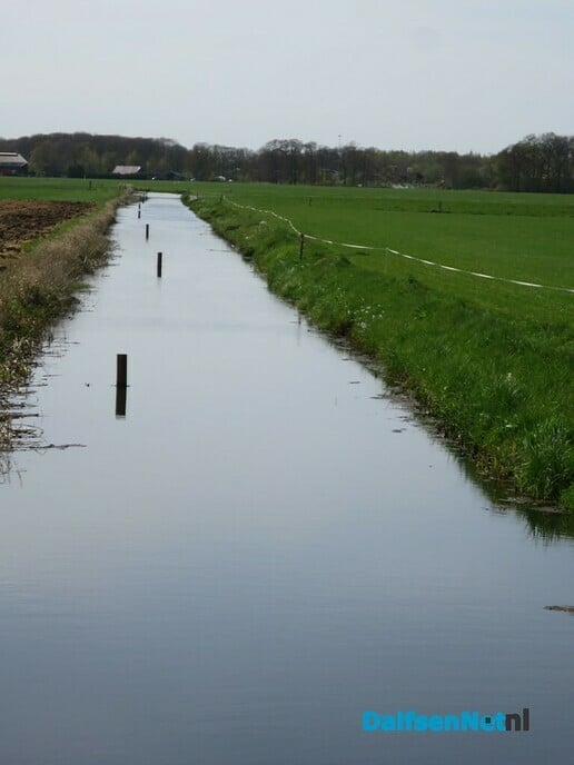 Waarvoor staan toch die palen in de Marswetering - Foto: Wim