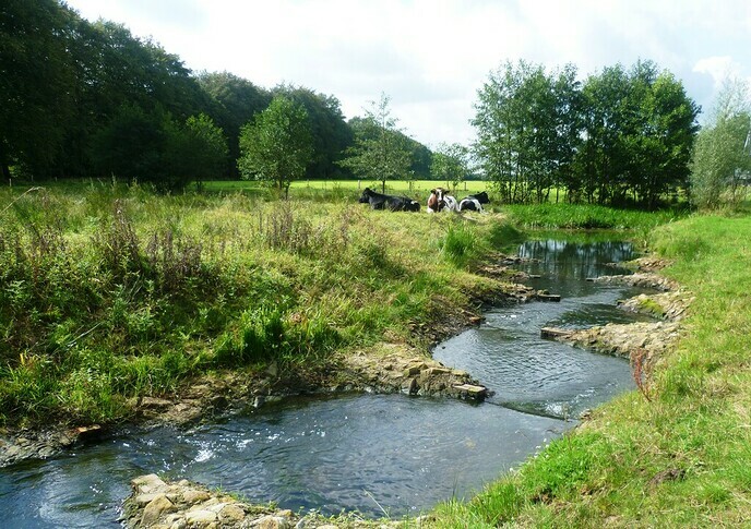 Waterschap geeft minder uit door corona en droogte - Foto: Ingezonden foto