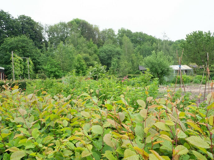 Ontwikkeling Poort van Noord Dalfsen komt op gang - Foto: Ingezonden foto