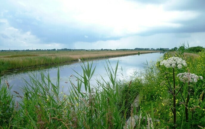 Waterschap geeft minder uit door corona en droogte - Foto: Ingezonden foto