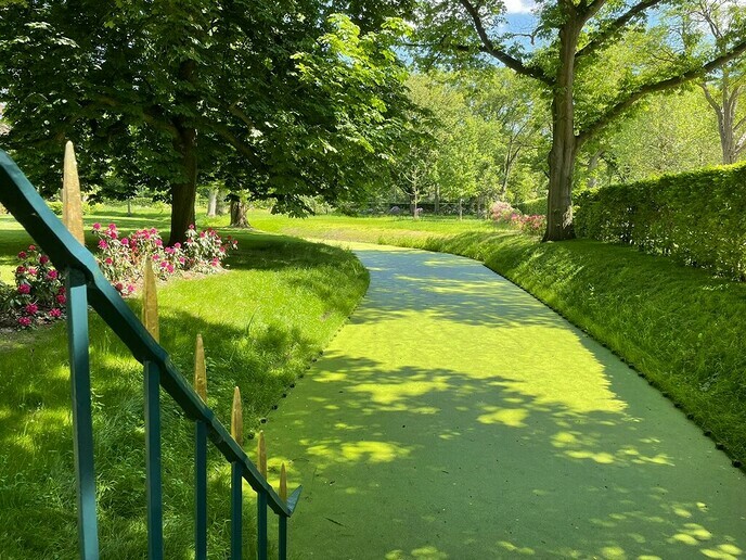Natuur aan de rand van het dorp - Foto: Ingezonden foto