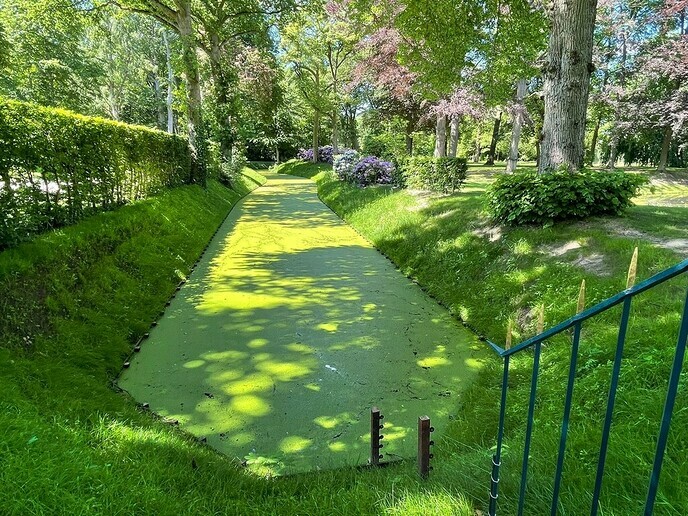 Natuur aan de rand van het dorp - Foto: Ingezonden foto