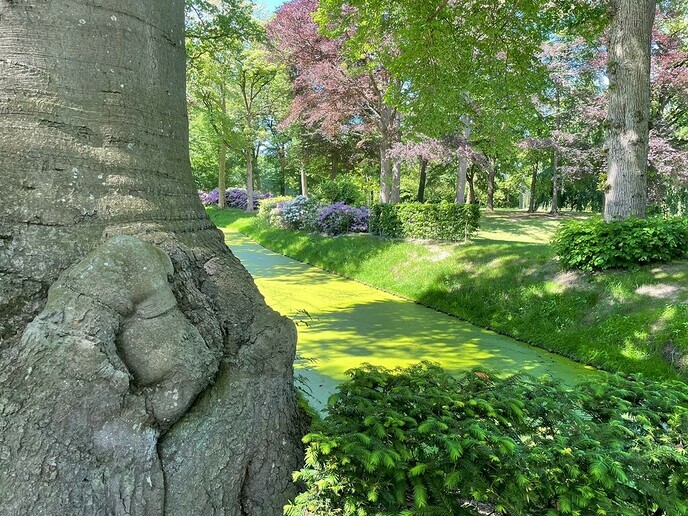 Natuur aan de rand van het dorp - Foto: Ingezonden foto
