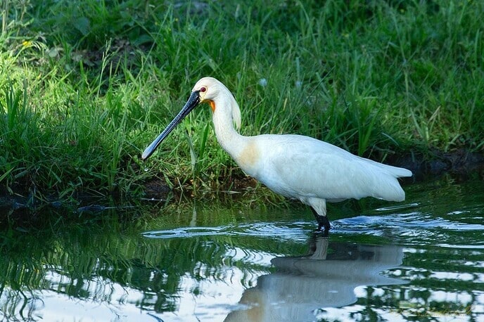 Kijk eens naar wat je onderweg allemaal tegenkomt