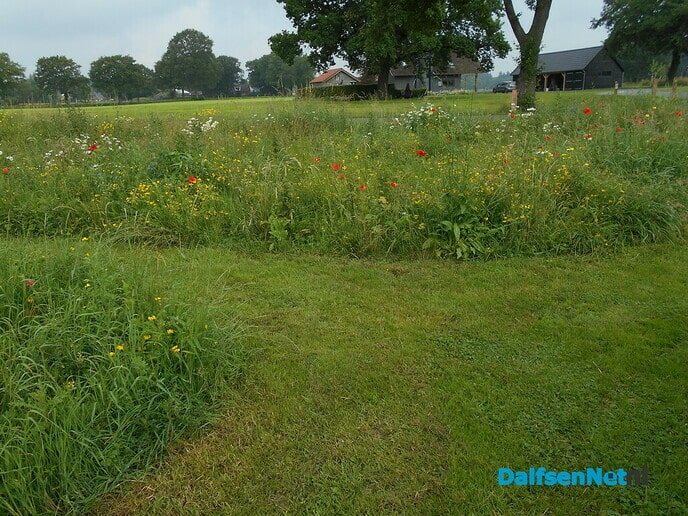 Het is echt geen dooie boel bij de dierenbegraafplaats
