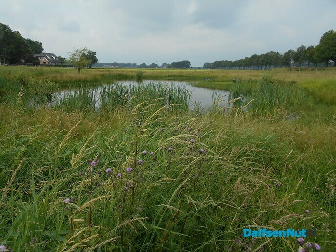 Het is echt geen dooie boel bij de dierenbegraafplaats