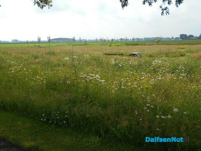 Het is echt geen dooie boel bij de dierenbegraafplaats