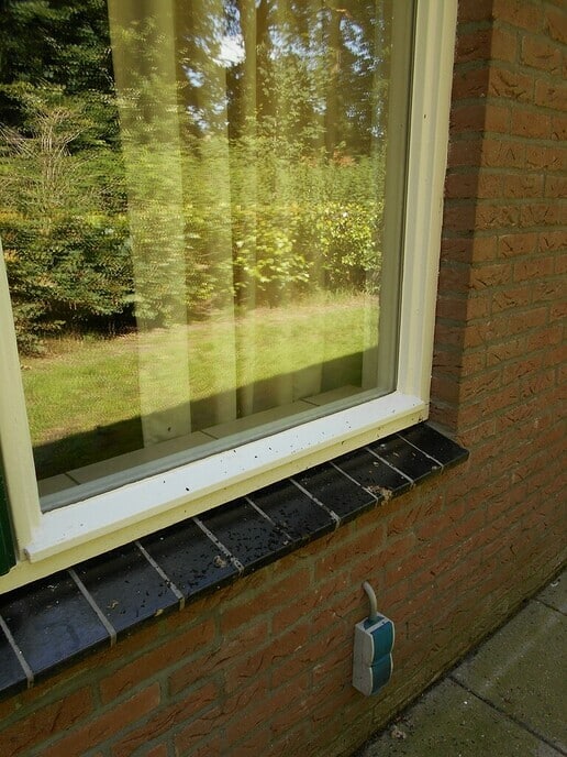 Van vleermuizen dus - Foto: Eigen geleverde foto