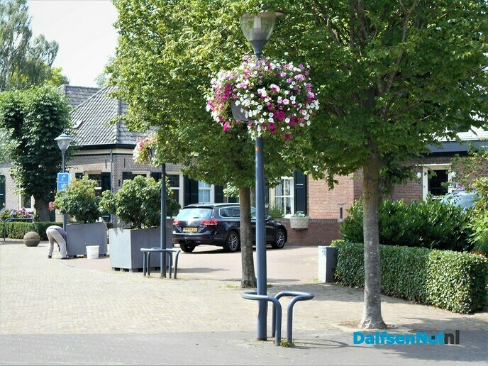 De plantjes hangen er mooi bij