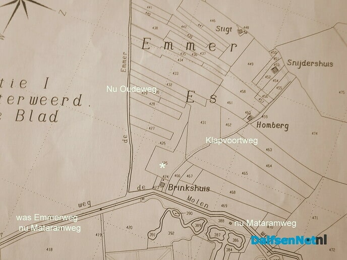 Bosonderhoud op de Emmer-esch in Emmen bij Hoonhorst - Foto: Wim