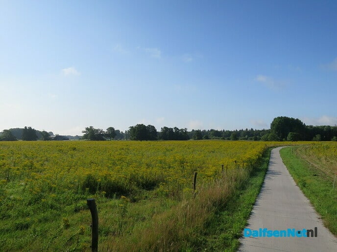Rondje Ommen, Rechteren in nevel gehuld - Foto: Wim