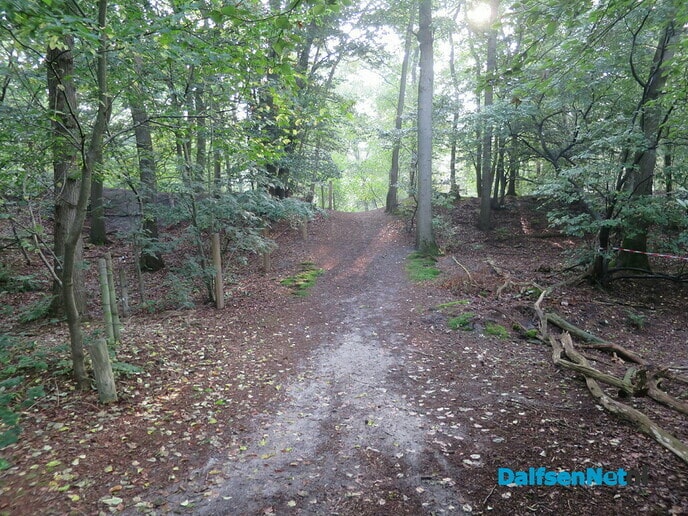 Prachtige zondagmorgenwandeling. - Foto: Wim