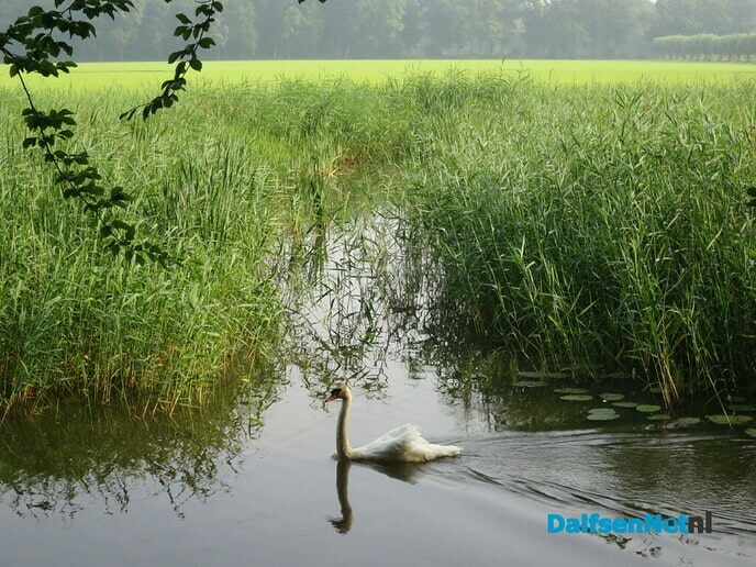 Prachtige zondagmorgenwandeling. - Foto: Wim