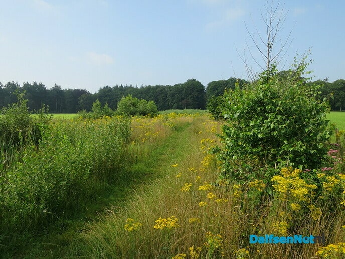 Prachtige zondagmorgenwandeling. - Foto: Wim