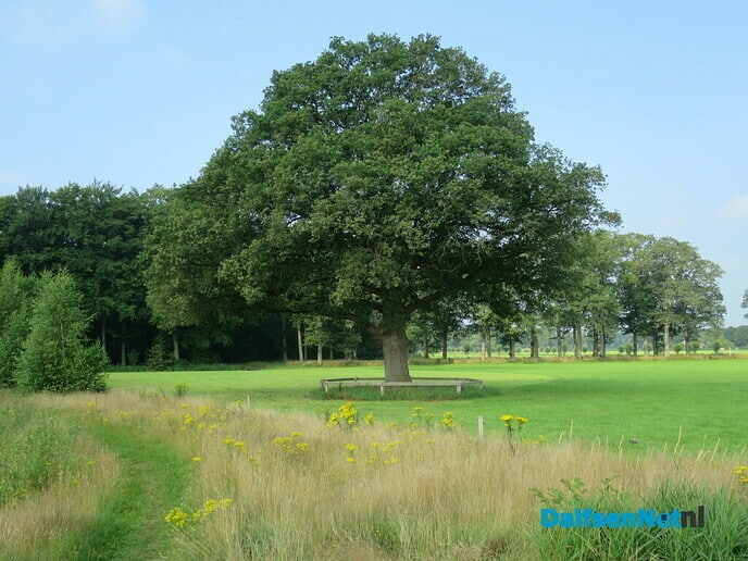 Prachtige zondagmorgenwandeling. - Foto: Wim