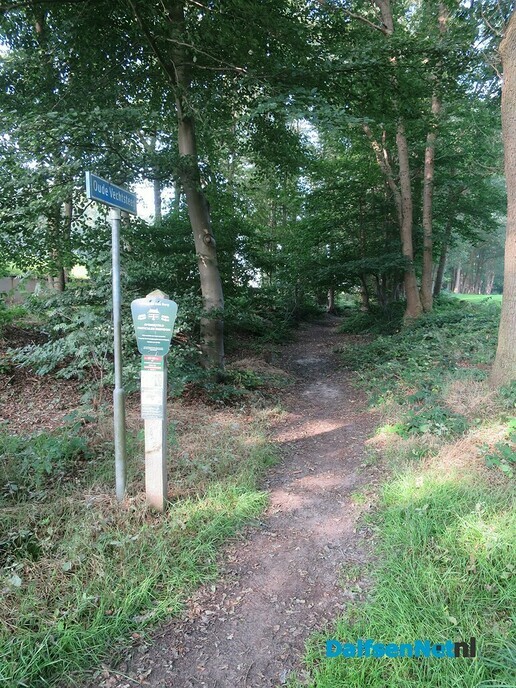 Prachtige zondagmorgenwandeling. - Foto: Wim