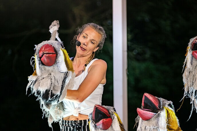 Vreemde Vogels strijken neer op landgoed De Horte