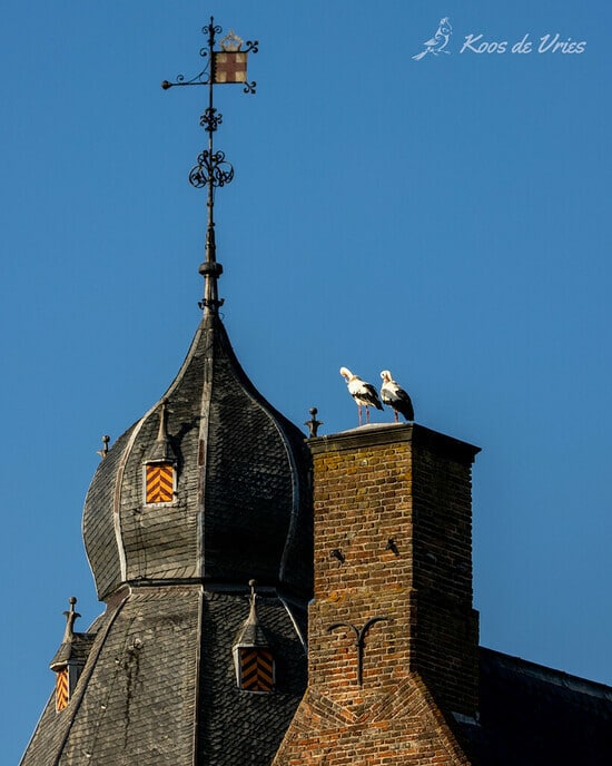 Hoog bezoek op Rechteren - Foto: Ingezonden foto