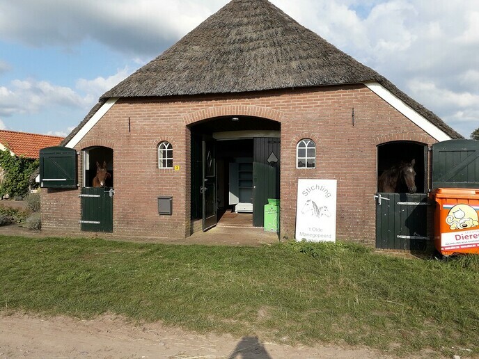 Eerste kijk- en doedag Olde manegepeerd op nieuwe locatie - Foto: Ingezonden foto