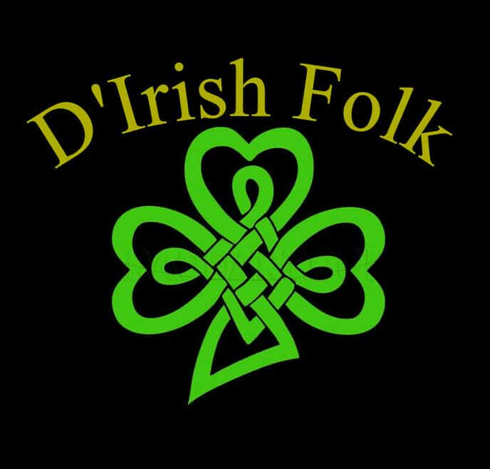 D’Irish Folk bij “Boerhoes” tijdens Kunst om Dalfsen