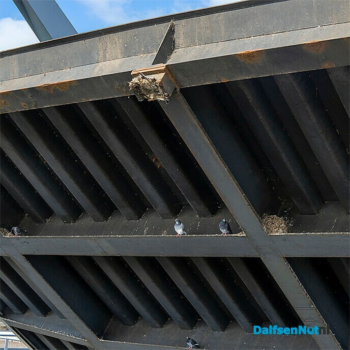 Vechtbrug levensgevaarlijk! - Foto: Paul Scholten