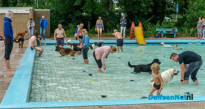 Afsluiten zwemseizoen 2021 met hondenzwemmen - Foto: Paul Scholten