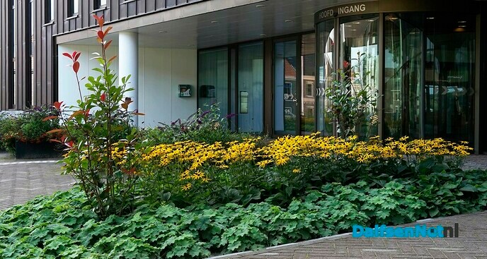 Voorplein gemeentehuis - Foto: Paul Scholten