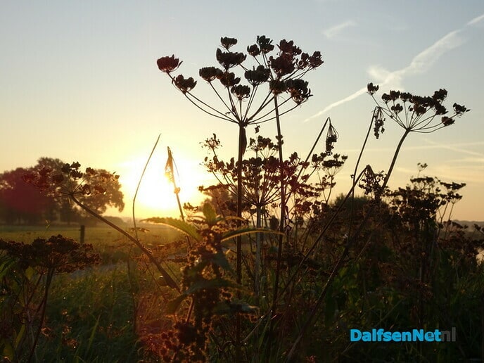 Mooie ochtend op Bellingeweer - Foto: Ingezonden foto
