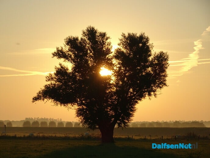 Mooie ochtend op Bellingeweer - Foto: Ingezonden foto