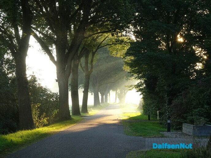 Mooie ochtend op Bellingeweer - Foto: Ingezonden foto