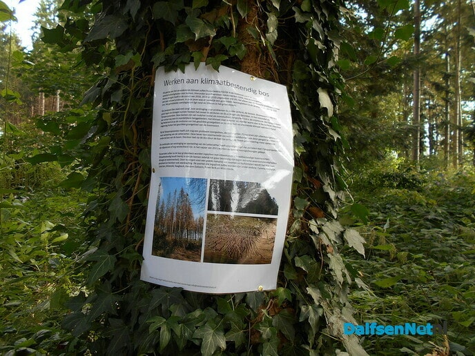Werk aan klimaatbestendig bos is begonnen