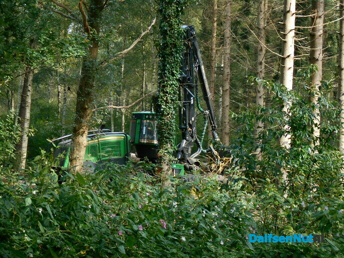 Werk aan klimaatbestendig bos is begonnen