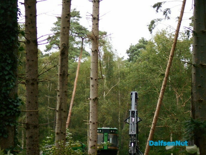 Werk aan klimaatbestendig bos is begonnen