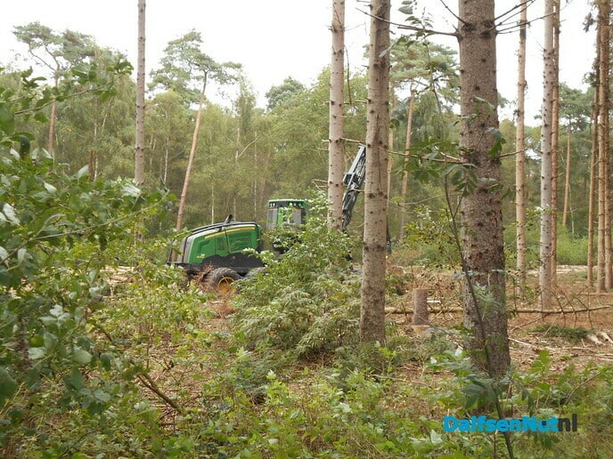 Werk aan klimaatbestendig bos is begonnen