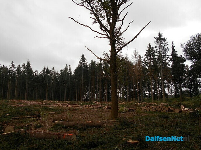 Werk aan klimaatbestendig bos is begonnen