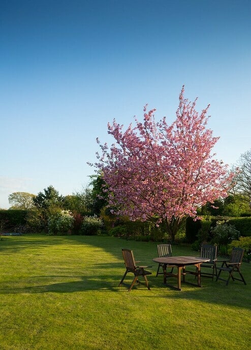 Een perfect aangelegde tuin die weinig onderhoud vraagt
