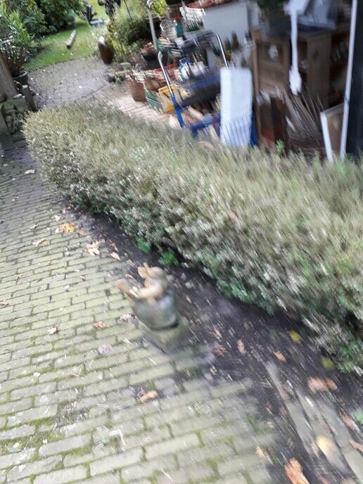 Druut met die bende - Foto: Ton S