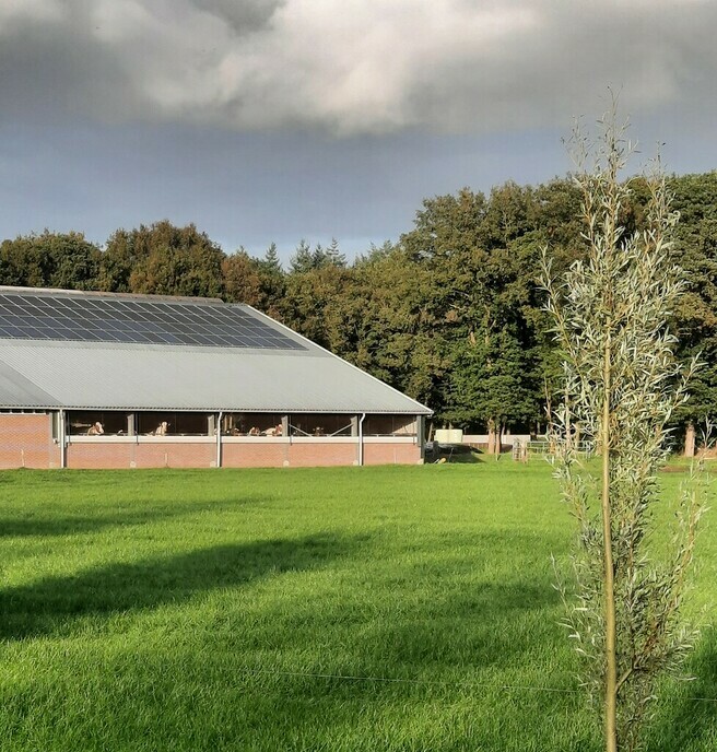 Noar buutn kiekn - Foto: Gruune Jopie