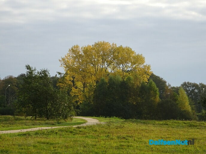 Ochtendwandeling - Foto: Ingezonden foto