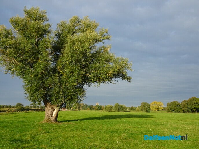 Ochtendwandeling - Foto: Ingezonden foto
