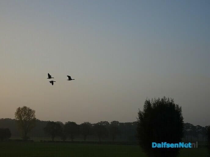 Bellingeweer - Foto: Ingezonden foto