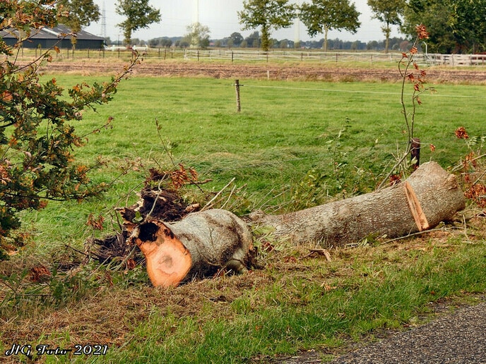 Na een zeer onrustige nacht een natte donderdag.