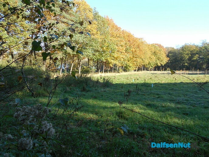 Geniet van de mooie herfstkleuren