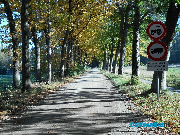 Geniet van de mooie herfstkleuren
