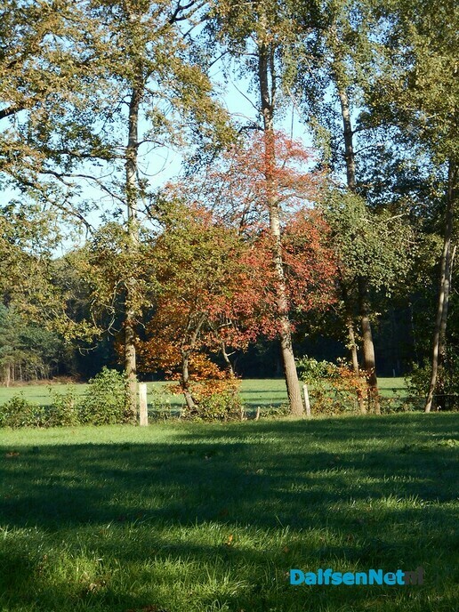 Geniet van de mooie herfstkleuren