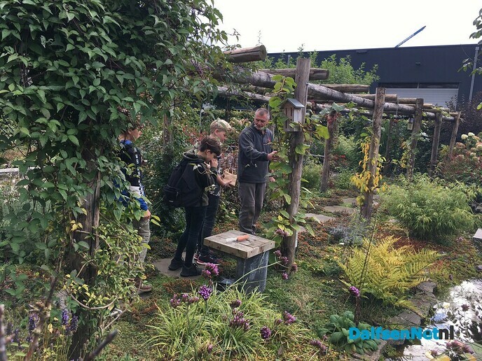 Roefeldag nog meer foto’s - Foto: Ingezonden foto