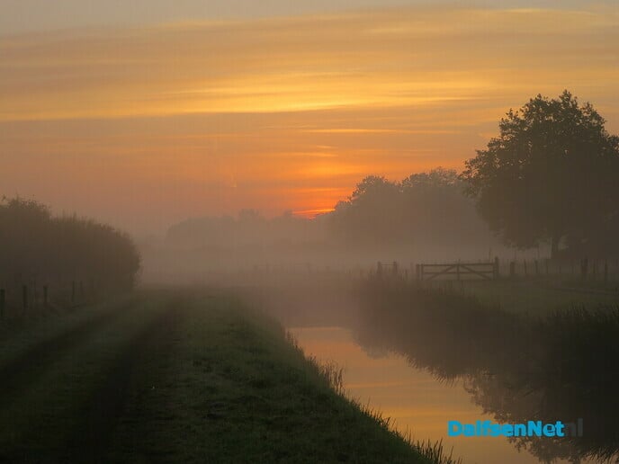 Opkomende zon en plaatselijk vorst - Foto: Wim