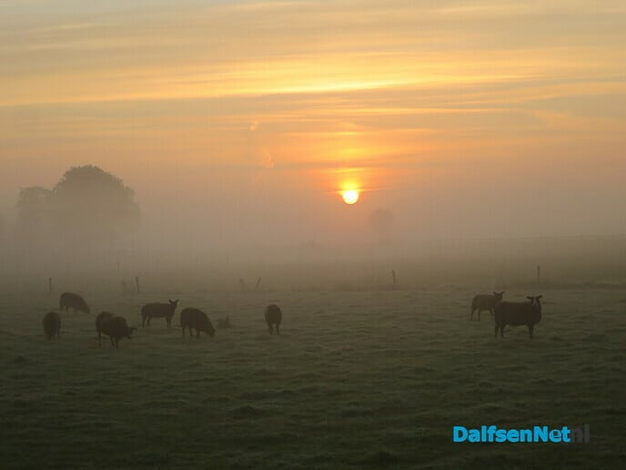 Opkomende zon en plaatselijk vorst - Foto: Wim