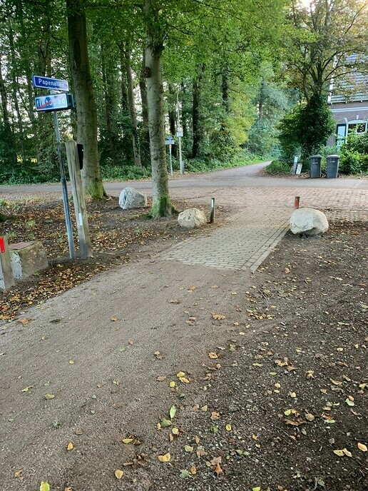 Papenallee nieuw leven ingeblazen - Foto: Ingezonden foto